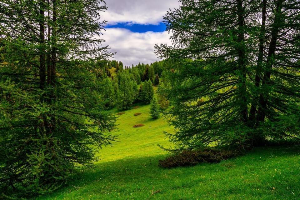 Eco-Hotel Et Yourtes Du Mercantour غيوم المظهر الخارجي الصورة